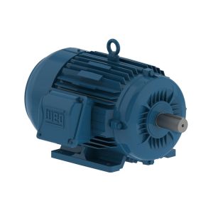 01536ET3E215T-W22 WEG Motor 15HP 2P 213/5T WFF2 - image 1