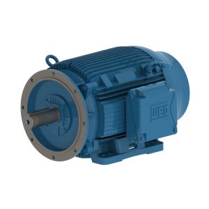 01836ET3Y160LFF-W22 WEG Motor 25HP 2P 160L WFF2 - image 1