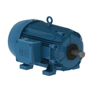 02009XT3E324T WEG MOTOR 20HP 8P 324T WFX1