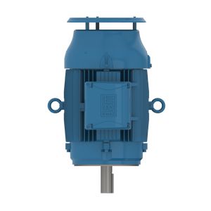 02036ET3ER256TC-W22 WEG Motor 20HP 2P 256TC WFF2 - image 1