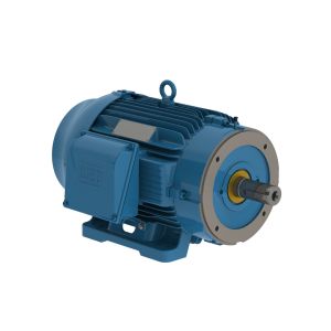 02509ST3QIE326TC-W22 WEG Motor 25HP 8P 324/6TC WFF2 - Image 1