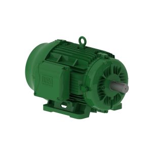 02536EG3E284TS-W22 WEG Motor 25HP 2P 284/6TS WFF2 - Image 1