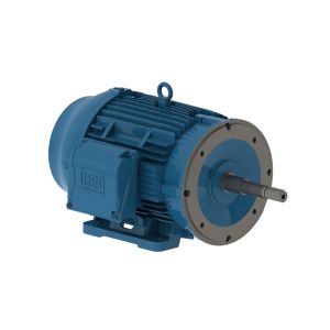 02536ET3E256JP-W22 WEG Motor 25HP 2P 254/6JP WFF2 - Image 1
