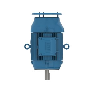 02536ET3ER284TSC-W22 WEG Motor 25HP 2P 284TSC WFF2 - Image 1