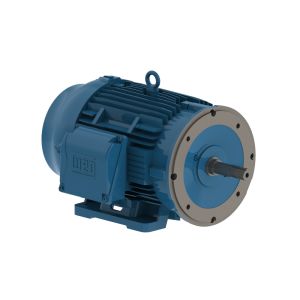 02536ET3H256JM-W22 WEG Motor 25HP 2P 254/6JM WFF2 - Image 1