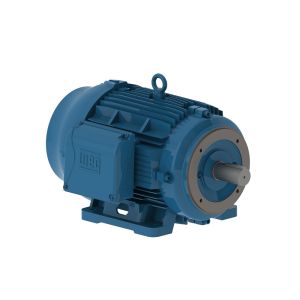 02536ET3H284TSC-W22 WEG Motor 25HP 2P 284/6TSC WFF2 - Image 1