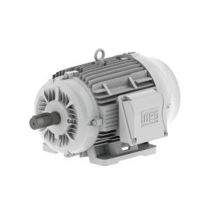 03012ES3EOW326T-W22 WEG Motor 30HP 6P 324/6T WFF2 - Image 1