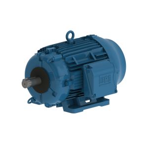 03012ET3ECT326T-W22 WEG Motor 30HP 6P 324/6T WFF2 - Image 1