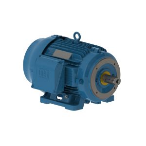 03012ST3QIE326TC-W22 WEG Motor 30HP 6P 324/6TC WFF2 - Image 1