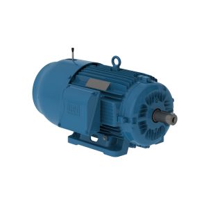 03018ET3EBM286T-W22 WEG Motor 30HP 4P 284/6T WFF2 BRAKE Motor W2 - Image 1