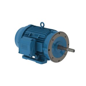 03036ET3V286JP-W22 WEG Motor 30HP 2P 284/6JP WFF2 - Image 1