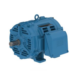 03036OT3H284TSF2-W40 WEG Motor 30HP 2P 284TS WFA2 - image 1