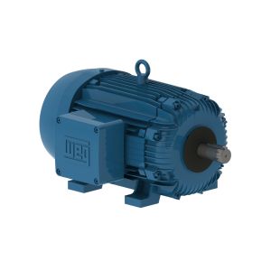 03036XT3H286TS WEG Motor 30HP 2P 286TS WFX1 - Image 1