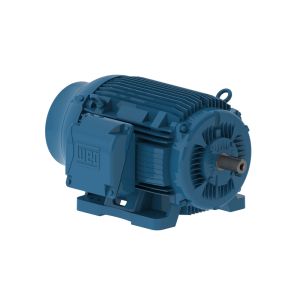 04009ET3E365T-W22 WEG Motor 40HP 8P 364/5T WFF2 - Image 1