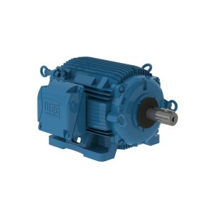 04012AT3ECT364TF1-W2 WEG Motor 40HP 6P 364/5T WFF2 - Image 1