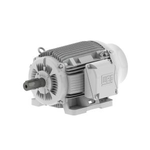 04012ES3EOW365T-W22 WEG Motor 40HP 6P 364/5T WFF2 - Image 1