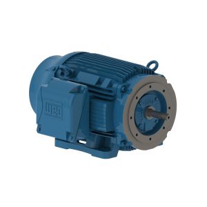04012ET3E364JM-W22 WEG Motor 40HP 6P 364/5JM WFF2 - Image 1