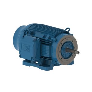 04012ET3E364JP-W22 WEG Motor 40HP 6P 364/5JP WFF2 - Image 1