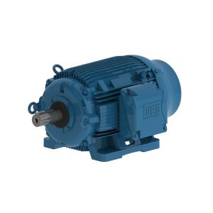 04012ET3PCT364T-W22 WEG Motor 40HP 6P 364/5T WFF2 - Image 1