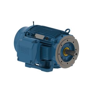 04012ST3QIE364TC-W22 WEG Motor 40HP 6P 364/5TC WFF2 - Image 1