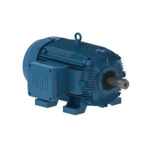 04012XT3E364T WEG Motor 40HP 6P 364/5T WFX1 - Image 1