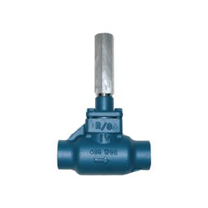 RS SGT0125SSBCN, 1-1/4 Socket Weld, GLOBE-T, CAP