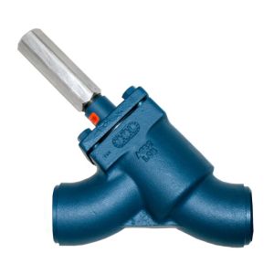 RS SGY0150SSBCN, 1-1/2 Socket Weld, GLOBE-Y, CAP