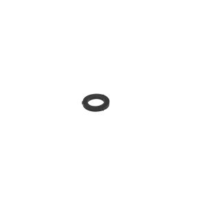 18-300 Robertshaw SERVICE PROD OR ACCESSOR HOSE WASHR(100 PK)GSW300