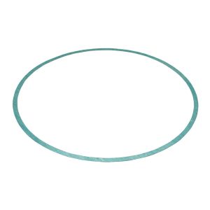 231-11-013 Buffalo Pumps Gasket Volute, - 231-11-013