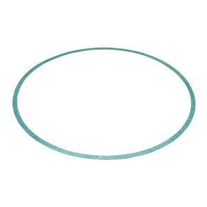 231-11-013 Buffalo Pumps Gasket Volute, - 231-11-013