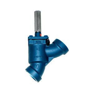 RS SGY0250SSBCN, 2-1/2 Socket Weld, GLOBE-Y, CAP