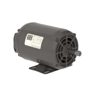 .2518OS1BSPB48 WEG Motor 1/4HP 4P B48 WCA1 - image 1