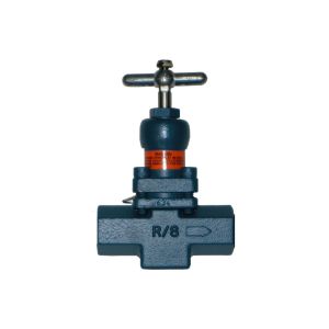 RS XGT0250SSBHN, 2-1/2 Socket Weld, GLOBE-T, EXP, HW