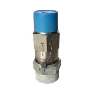 5344-150 Henry 1 Mpt X 1 Fpt Relief Valve Stainless Steel Straight-Thru 150Psi