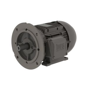 .5518EP3EAL80FF-W22 WEG Motor 0.75HP 4P 80 WAF1 - image 1