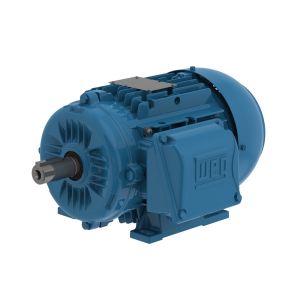 .7512ET3WAL90S-W22 WEG Motor 1HP 6P 90S/L WAF1 - image 1