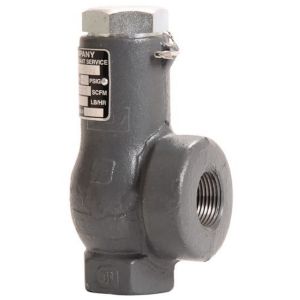 Cyrus Shank 804-350 Safety Relief Valve, 3/4