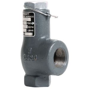 Cyrus Shank 812-250 Safety Relief Valve, 1/2