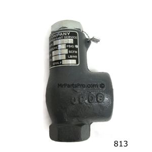 813 (single), CYRUS SHANK, Relief Valve &iuml;&iquest;&frac12;&iuml;&iquest;&frac12;&iuml;&iquest;&frac12;&iuml;&iquest;&frac12;&iuml;&iquest;&frac12;&iuml;&iquest;&frac12;&iuml;&iquest;&frac12;&iuml;&iquest;&frac12;&iuml;&iquest;&frac12;&iuml;&iquest;&frac12; FNPT inlet x 1&iuml;&iquest;&frac12;&iuml;&iquest;&frac12;&iuml;&iquest;&frac12;&iuml;&iquest;&frac12;&iuml;&iquest;&frac12;&iuml;&iquest;&frac12; FNPT outlet