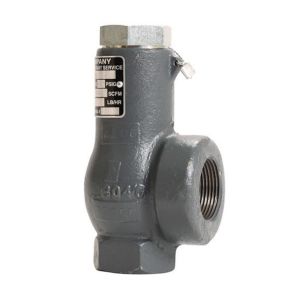 Cyrus Shank 814-250 Safety Relief Valve, 3/4, 1 1/4, Ductile Iron