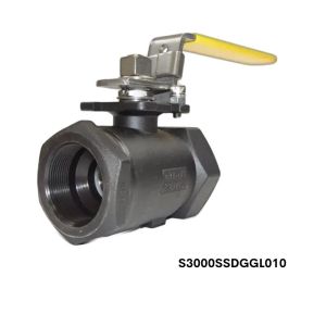 S3000-SS-DGG-L-010 Flo-Tite 3/8