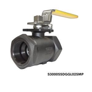 S3000-SS-DGG-L-025-MP Flo-Tite 1