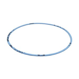 Gasket Volute, Buffalo Pump - 231-11-1408
