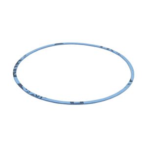 231-11-1408 Buffalo Pump Gasket Volute