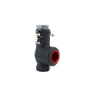 Cyrus Shank 813-275 Dual Assembly Without Unions 0.5 1 Ductile Iron Sideview showing red seal