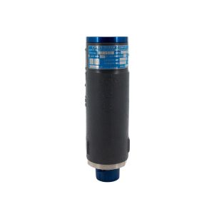Cyrus Shank 851D-250 1-1/4 Safety Relief Valve 1-1/4