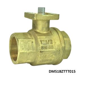 DM51-BZ-TTT-015 Flo-Tite 1/2