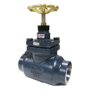 GSE051C Hansen 1/2