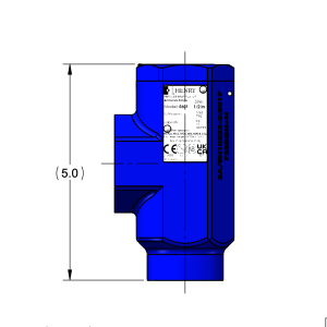 5601-300 HENRY RELIEF VALVE