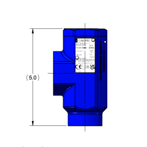 RELIEF VALVE